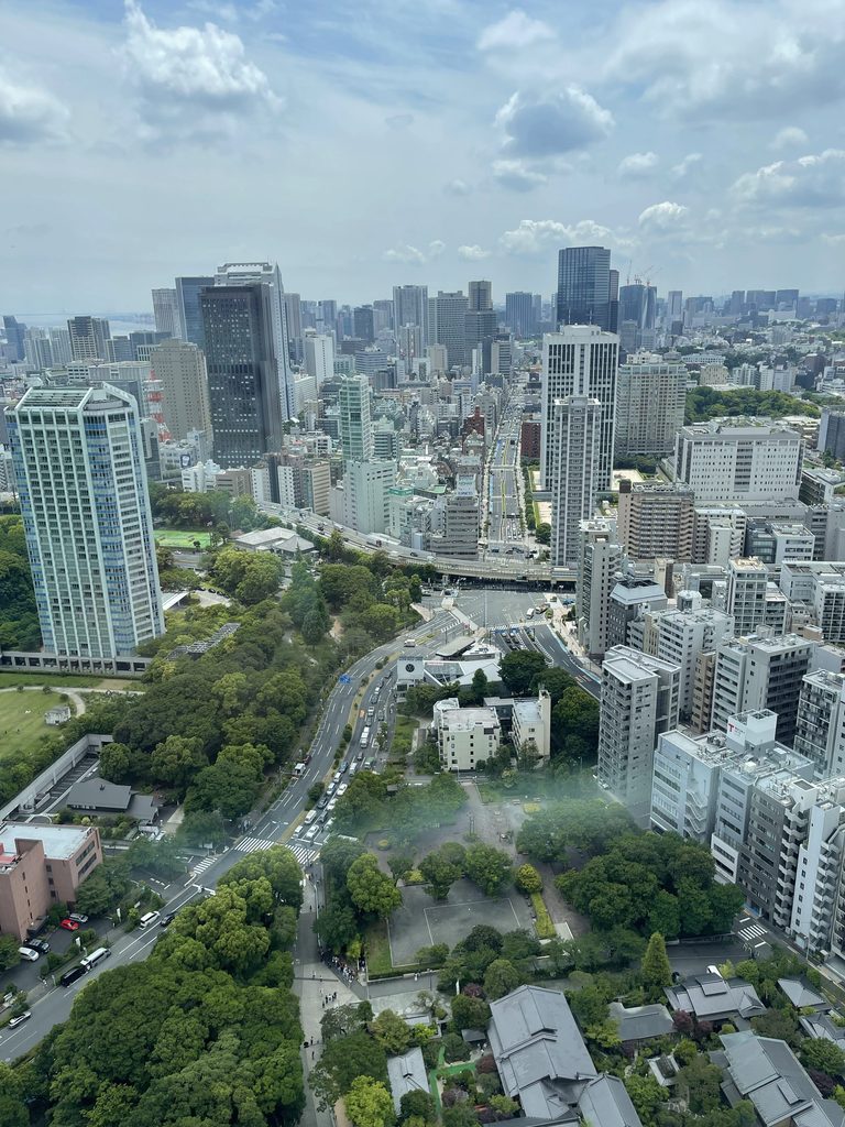 Tokyo Tower View all rights reserved
By Dan Agamez